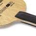 GEWO Blade Prithika Pavade Carbon Basic